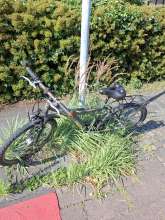 Bild zu gemeldetem Anliegen vom *2025-07-11 15:30:14