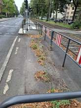 Bild zu gemeldetem Anliegen vom *2025-07-24 06:27:31