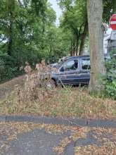 Bild zu gemeldetem Anliegen vom *2025-07-24 09:27:56