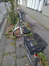 Bild zu gemeldetem Anliegen vom *2025-07-29 06:32:19