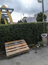 Holzpalette am Fußweg *2025-07-26 09:29:06