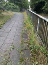 Bild zu gemeldetem Anliegen vom *2025-07-22 09:29:57