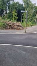 Bild zu gemeldetem Anliegen vom *2025-07-17 10:16:04
