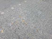 Bild zu gemeldetem Anliegen vom *2025-07-02 15:27:58