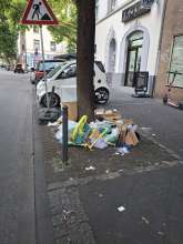Bild zu gemeldetem Anliegen vom *2025-07-13 20:40:05