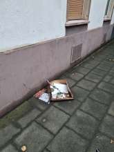 Bild zu gemeldetem Anliegen vom *2025-07-22 20:02:32