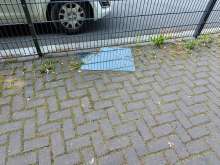Bild zu gemeldetem Anliegen vom *2025-07-10 15:29:53
