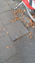 Bild zu gemeldetem Anliegen vom *2025-07-13 06:31:34