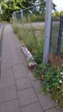 Bild zu gemeldetem Anliegen vom *2025-07-28 15:35:47