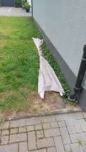 Bild zu gemeldetem Anliegen vom *2025-07-09 12:05:32