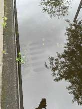 Bild zu gemeldetem Anliegen vom *2025-07-11 18:29:39