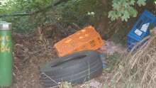 Bild zu gemeldetem Anliegen vom *2025-07-05 09:29:48