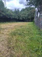 Bild zu gemeldetem Anliegen vom *2025-07-08 13:37:43