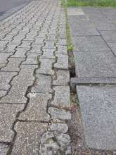 Bild zu gemeldetem Anliegen vom *2025-07-31 12:27:29