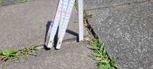 Bild zu gemeldetem Anliegen vom *2025-07-05 12:27:17