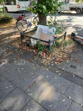 Bild zu gemeldetem Anliegen vom *2025-07-10 08:46:52