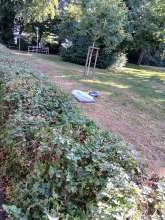 Bild zu gemeldetem Anliegen vom *2025-07-10 08:48:23