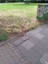 Bild zu gemeldetem Anliegen vom *2025-07-16 10:09:36