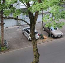 Bild zu gemeldetem Anliegen vom *2025-07-03 21:19:03