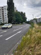 Bild zu gemeldetem Anliegen vom *2025-07-08 09:13:31