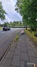Bild zu gemeldetem Anliegen vom *2025-07-10 21:28:41