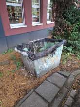 Bild zu gemeldetem Anliegen vom *2025-07-09 09:31:52