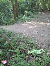 Bild zu gemeldetem Anliegen vom *2025-07-13 15:20:41