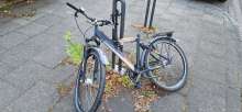 Bild zu gemeldetem Anliegen vom *2025-07-11 18:29:39