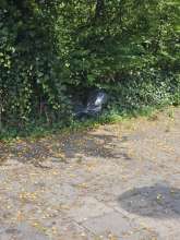 Bild zu gemeldetem Anliegen vom *2025-07-12 12:27:18