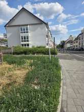 Bild zu gemeldetem Anliegen vom *2025-07-12 15:36:14