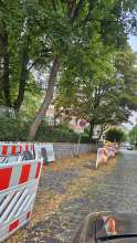 Bild zu gemeldetem Anliegen vom *2025-07-13 12:29:36