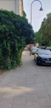 Bild zu gemeldetem Anliegen vom *2025-07-18 21:29:38