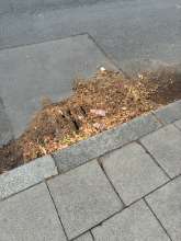 Bild zu gemeldetem Anliegen vom *2025-07-20 12:27:51