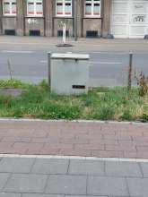Bild zu gemeldetem Anliegen vom *2025-07-24 06:27:31