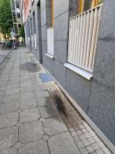 Bild zu gemeldetem Anliegen vom *2025-07-23 12:28:08