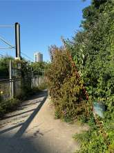 Bild zu gemeldetem Anliegen vom *2025-07-07 09:28:52