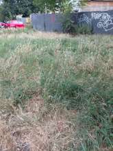 Bild zu gemeldetem Anliegen vom *2025-07-04 18:30:47