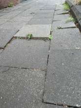 Bild zu gemeldetem Anliegen vom *2025-07-31 15:36:26