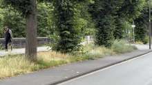 Bild zu gemeldetem Anliegen vom *2025-07-11 09:28:28