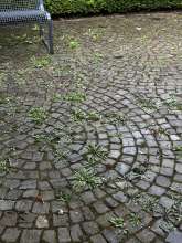 Bild zu gemeldetem Anliegen vom *2025-07-24 13:12:15