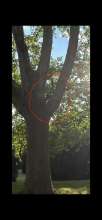 Bild zu gemeldetem Anliegen vom *2025-07-11 21:33:15