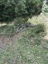 Bild zu gemeldetem Anliegen vom *2025-07-05 09:29:48