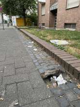Bild zu gemeldetem Anliegen vom *2025-07-14 05:48:35