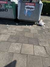 Bild zu gemeldetem Anliegen vom *2025-07-03 15:28:46