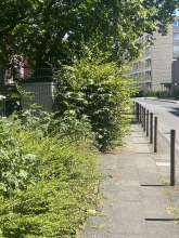 Bild zu gemeldetem Anliegen vom *2025-07-05 12:27:17