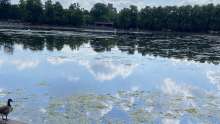 Bild zu gemeldetem Anliegen vom *2025-07-01 09:52:50