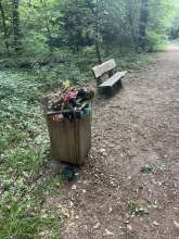 Bild zu gemeldetem Anliegen vom *2025-07-07 06:34:42
