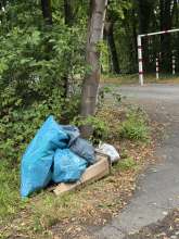 Bild zu gemeldetem Anliegen vom *2025-07-09 09:31:52