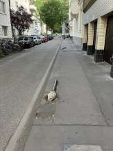 Bild zu gemeldetem Anliegen vom *2025-07-02 21:28:01