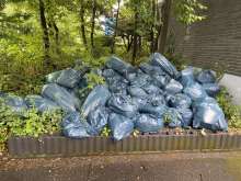 Bild zu gemeldetem Anliegen vom *2025-07-07 12:28:04